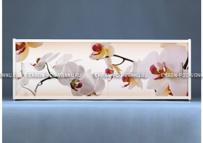 Раздвижной ФОТО экран - Orchid – купить по цене 8500 руб. в интернет-магазине в городе Ростов-на-Дону картинка 1