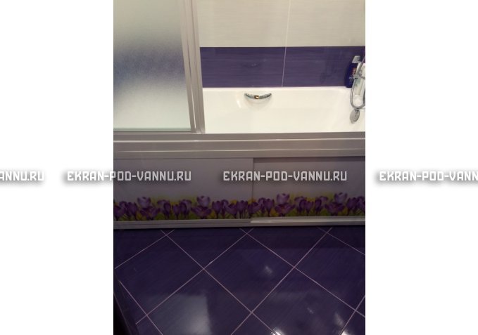 Экран на роликах EUROPLEX  Ирисы – купить по цене 12400 руб. в интернет-магазине в городе Ростов-на-Дону картинка 4
