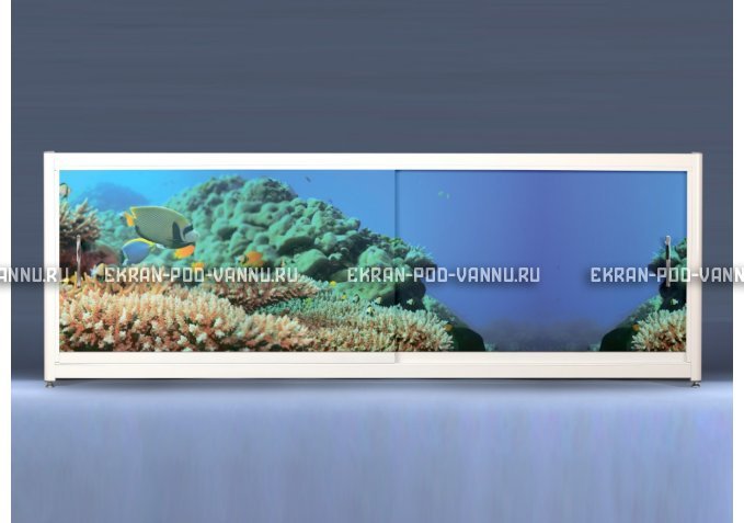 Экран на роликах EUROPLEX Коралловые рифы – купить по цене 12400 руб. в интернет-магазине в городе Ростов-на-Дону картинка 1